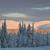 Jeris week 45 12-5639